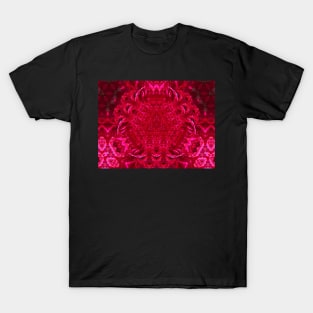 Red kaleidoscope T-Shirt